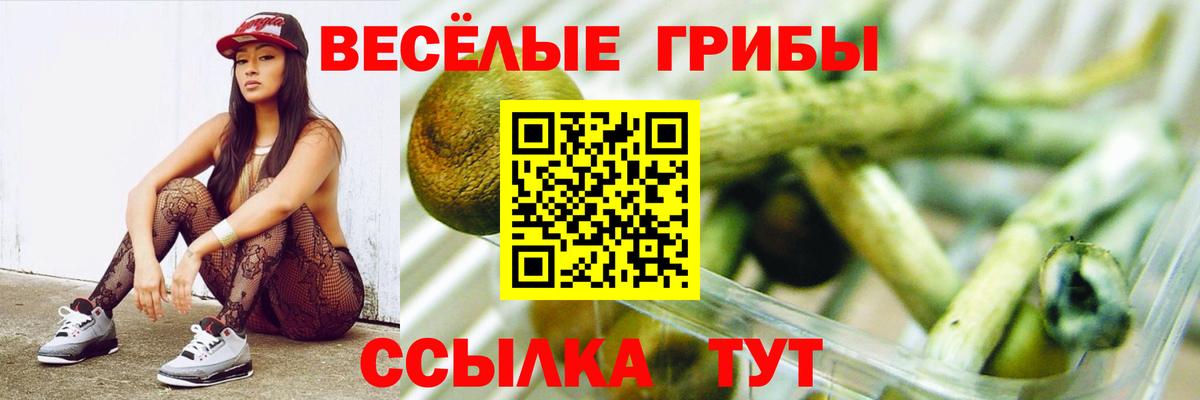 Псилоцибиновые грибы Magic Shrooms Бузулук